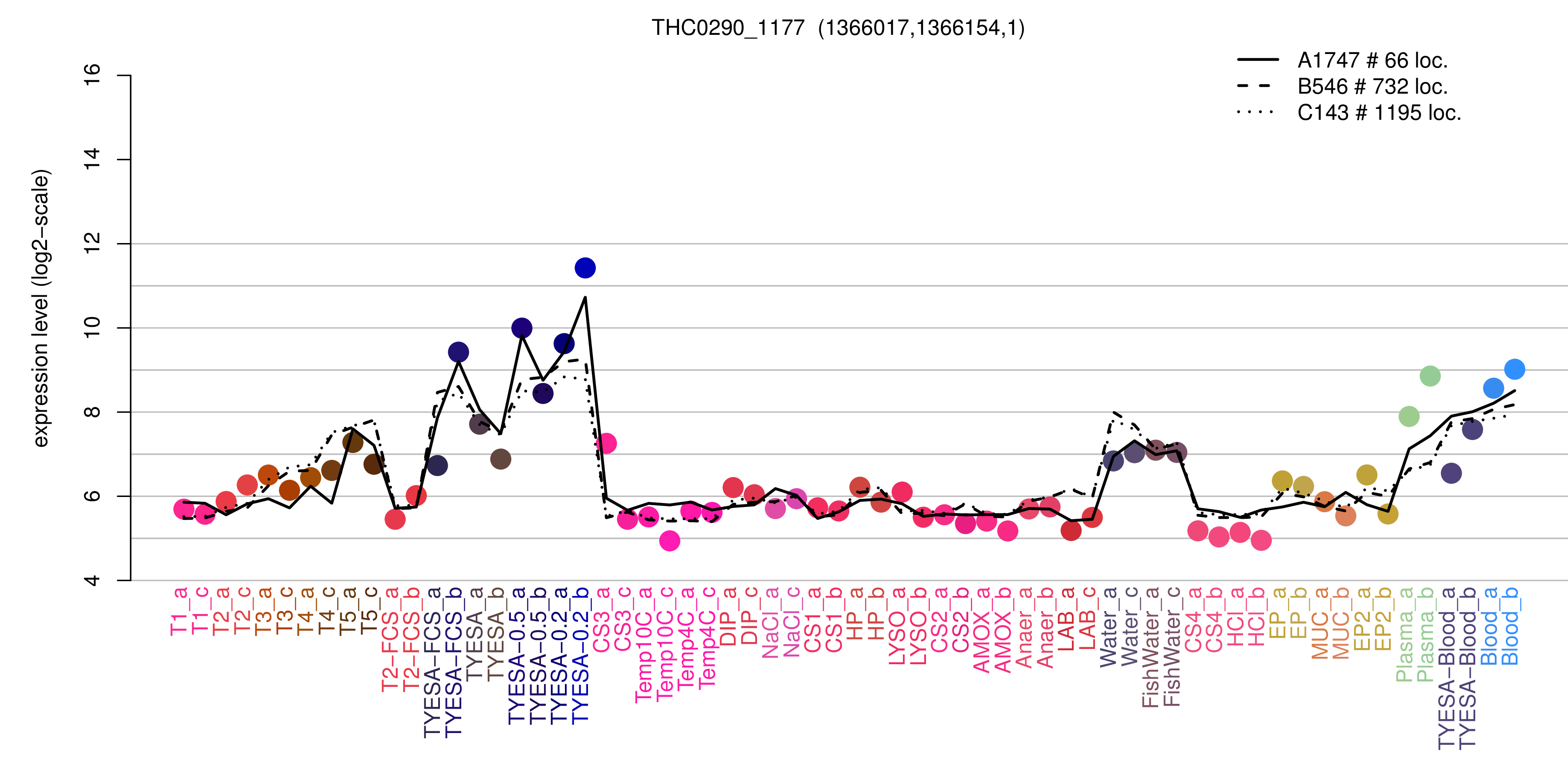 THC0290_1177 expression levels among conditions