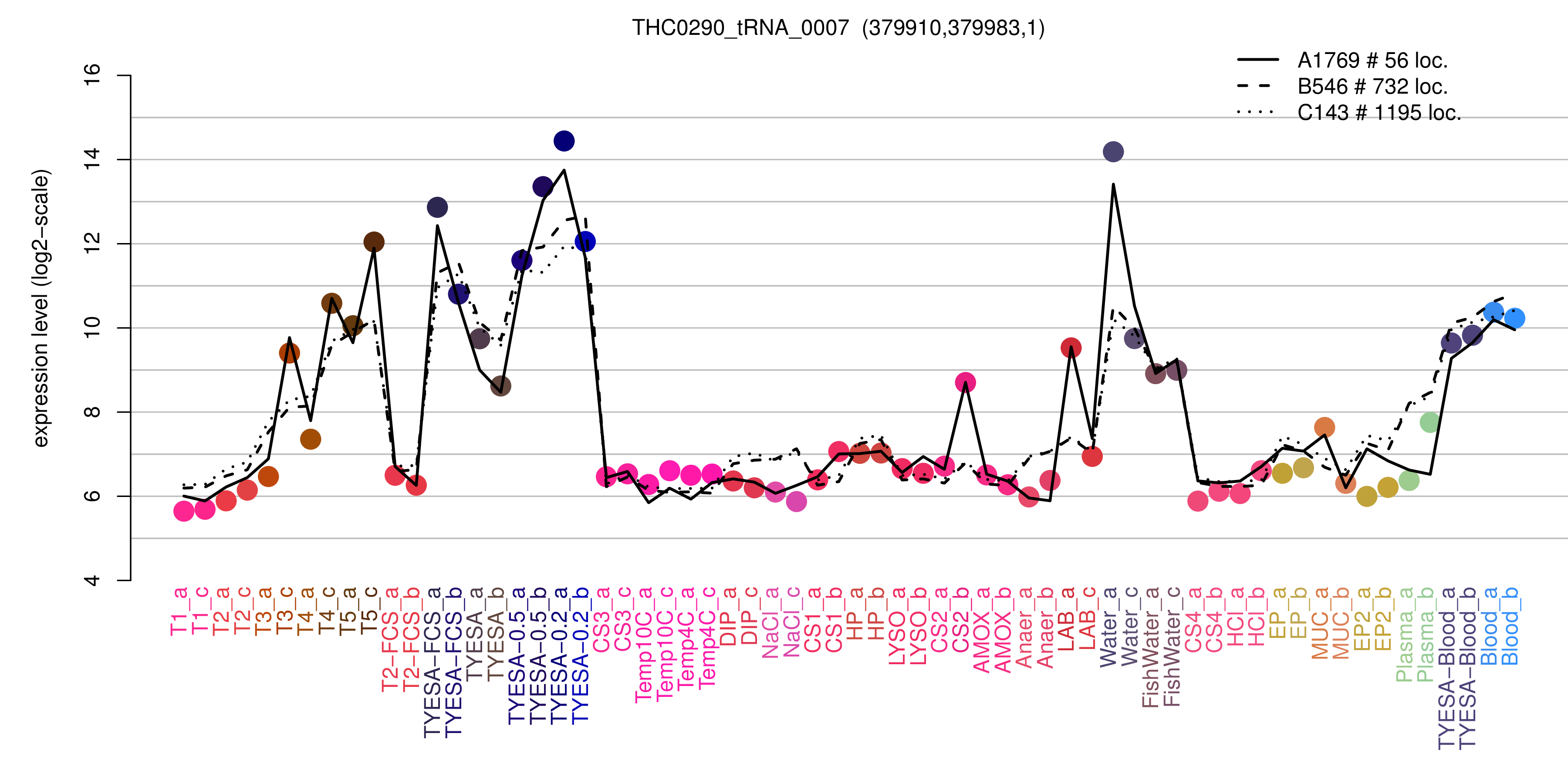 THC0290_tRNA_0007 expression levels among conditions