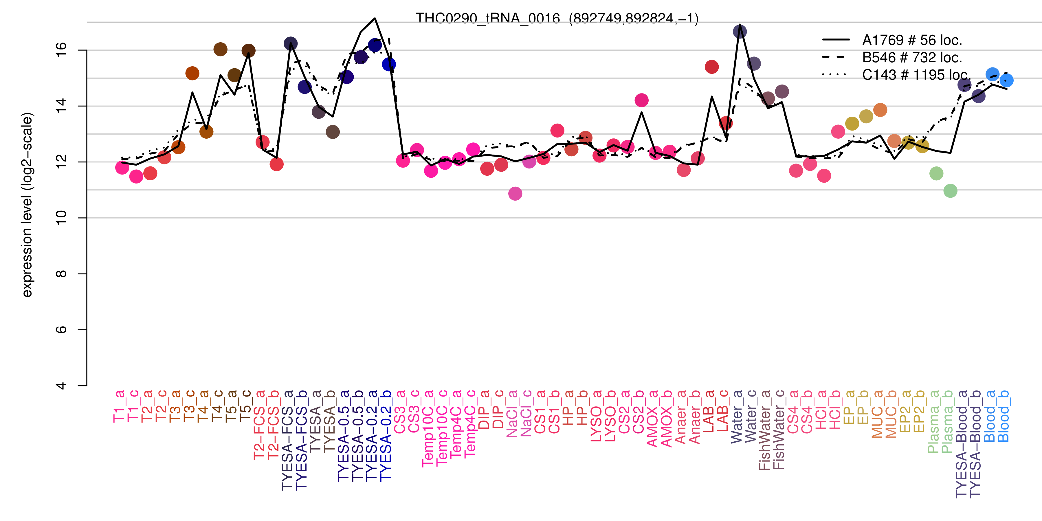 THC0290_tRNA_0016 expression levels among conditions