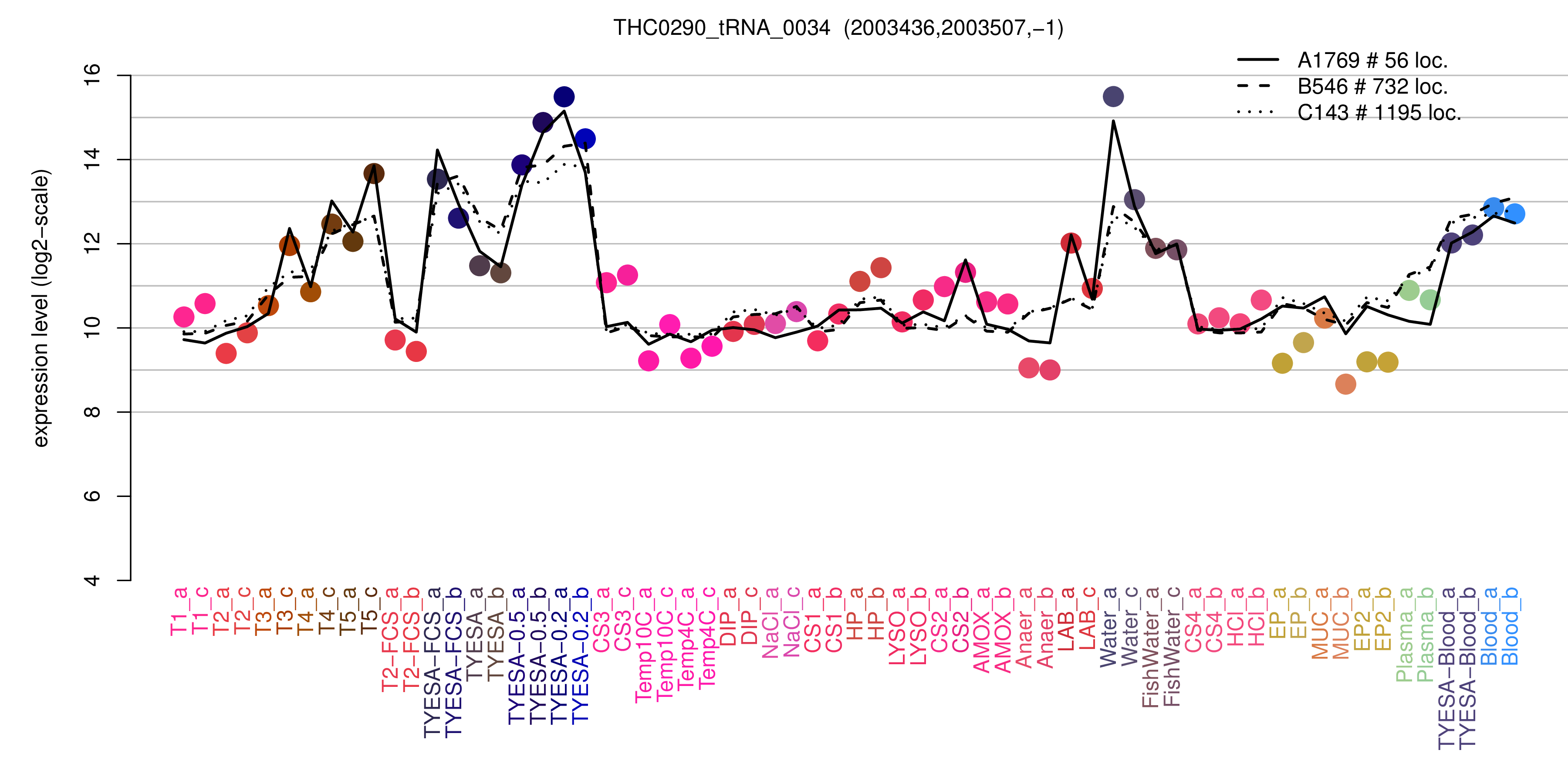 THC0290_tRNA_0034 expression levels among conditions