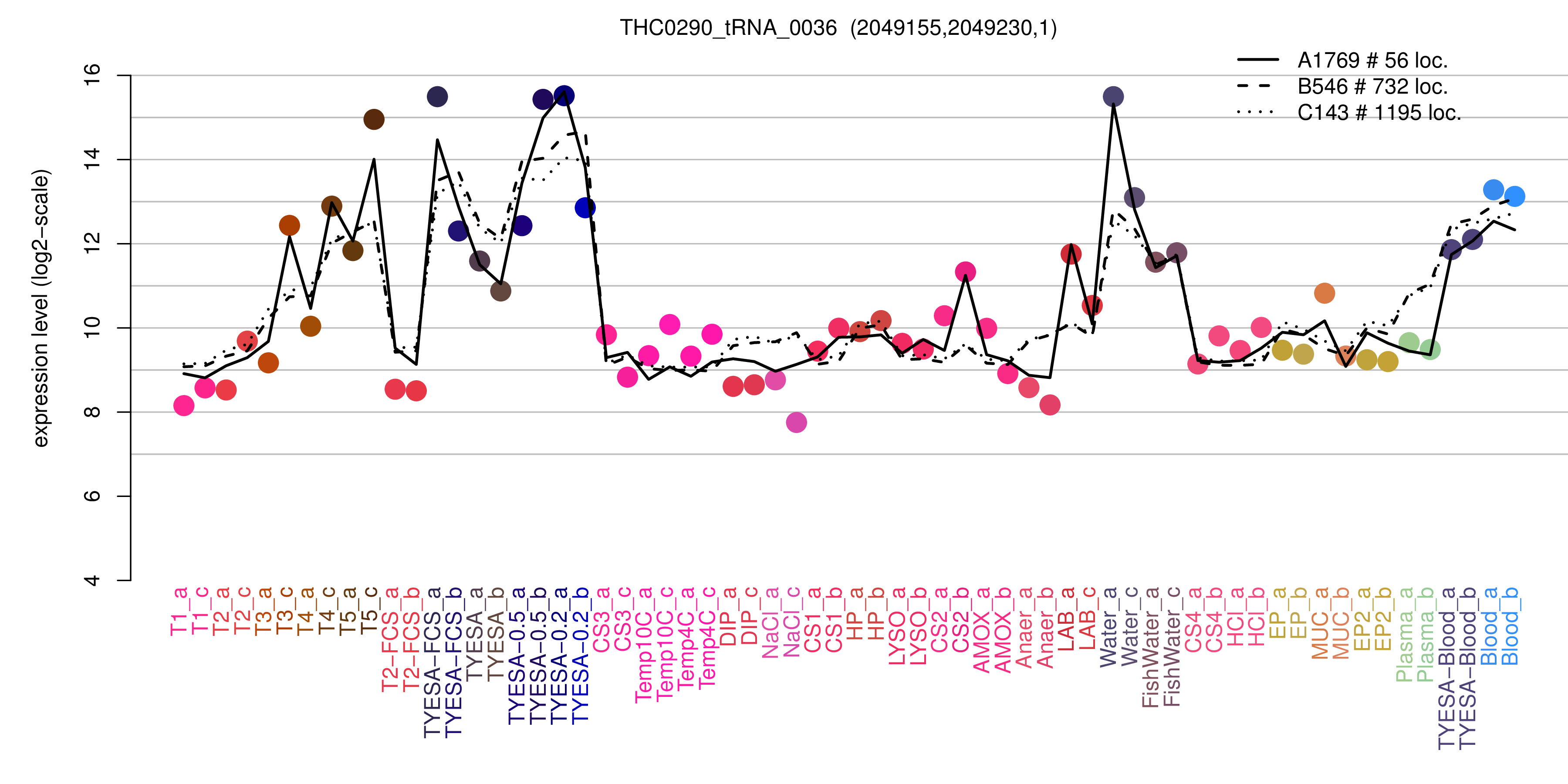 THC0290_tRNA_0036 expression levels among conditions