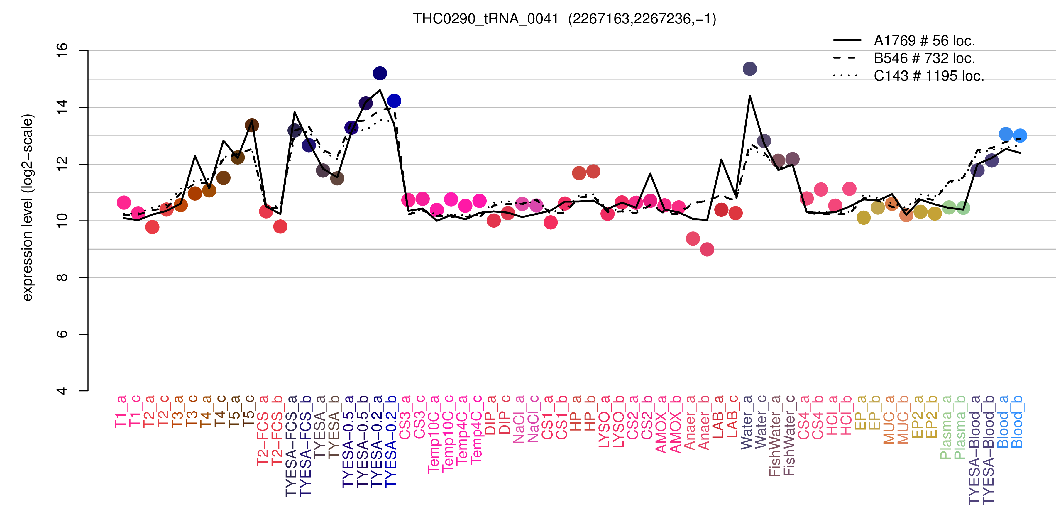 THC0290_tRNA_0041 expression levels among conditions